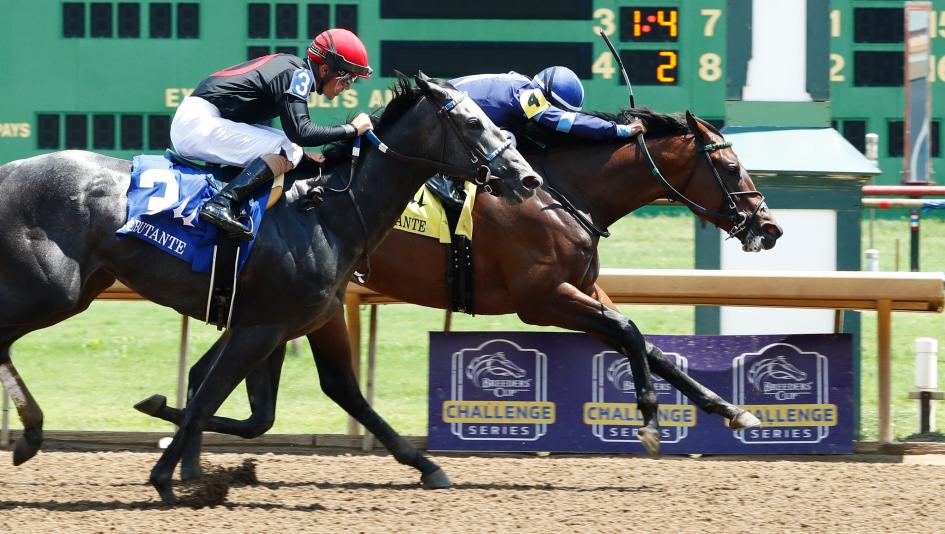 Brightwork, V V’s Dream, Debutante, Coady Photography, Darley Alcibiades Stakes